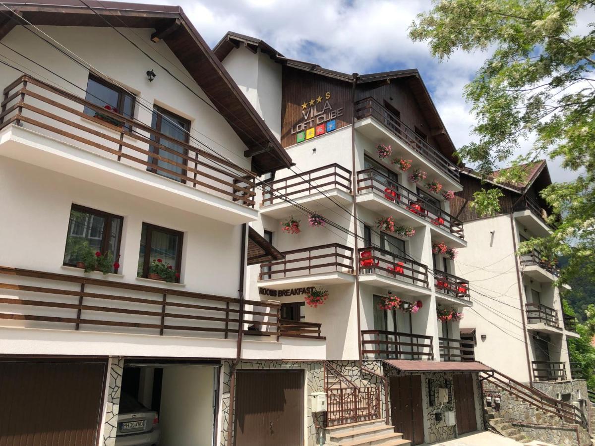 Vila Loft Cube Сіная Екстер'єр фото